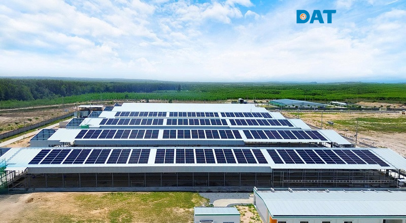 Trang Trại Công Nghệ Cao Mebifarm
